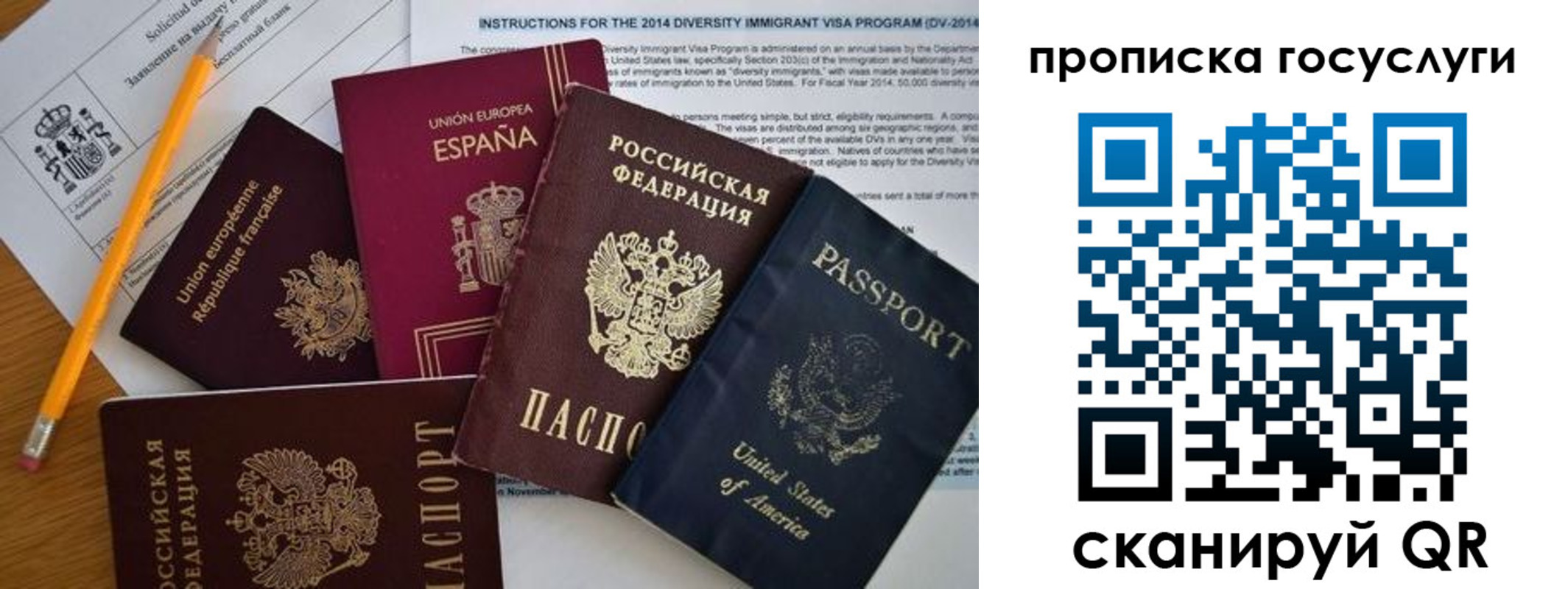 прописка гарантия в Полярных Зорях