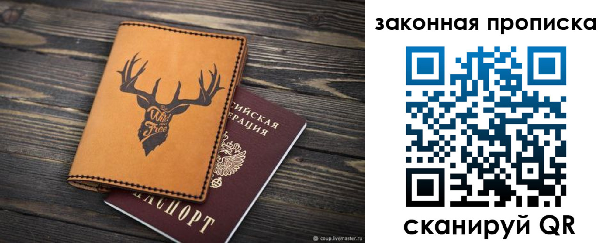 прописка для школы в Полярных Зорях